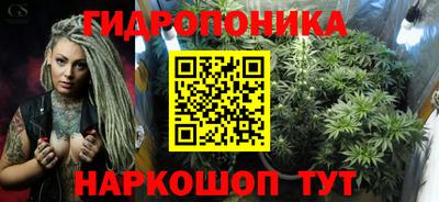 молекула духа Северобайкальск