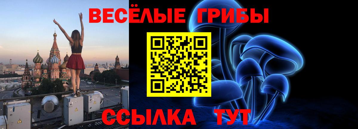 Галлюциногенные грибы Cubensis  Вход с VPN  наркота  Улан-Удэ 